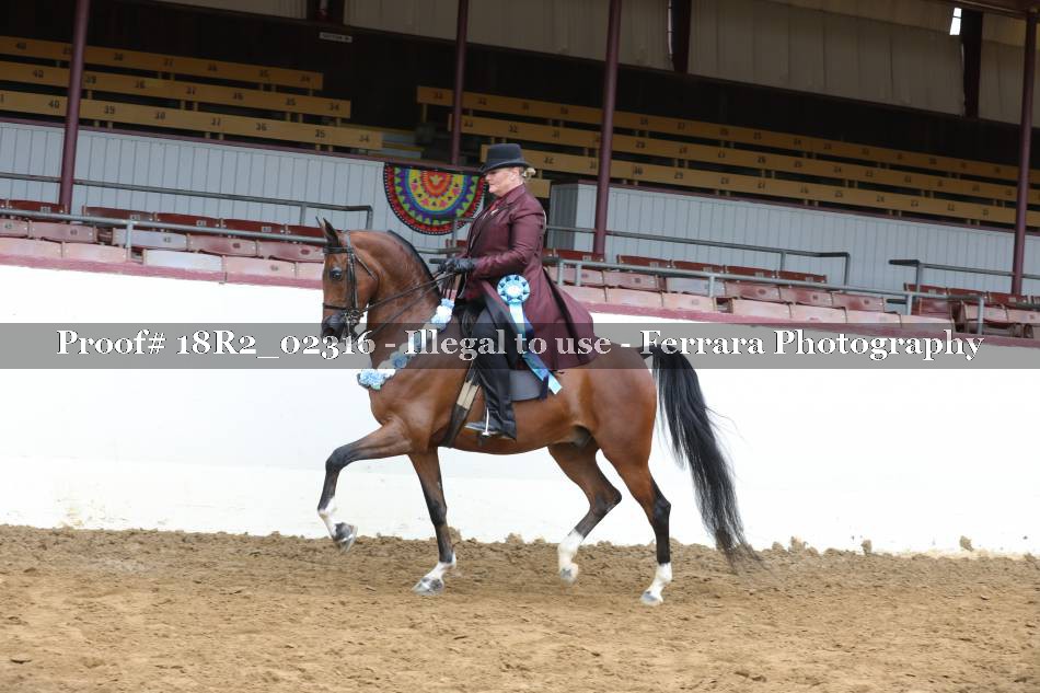 Proof 18R2_02316