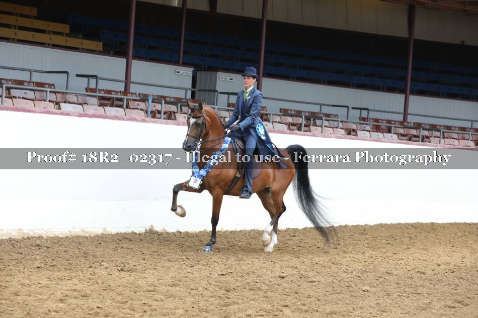 Proof 18R2_02317