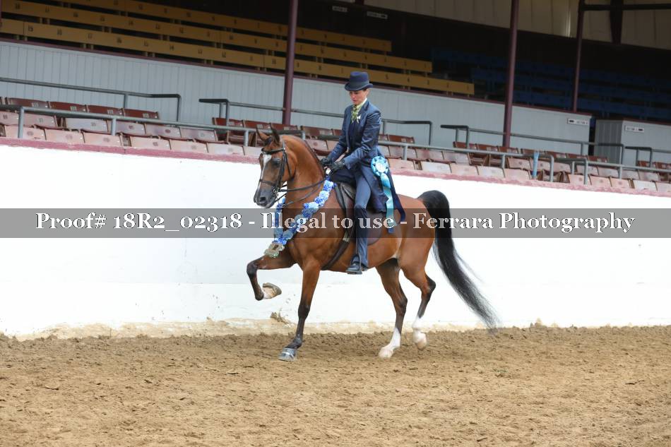 Proof 18R2_02318