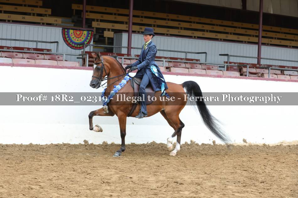 Proof 18R2_02319