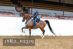 18R2_02319 proof