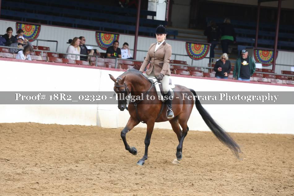 Proof 18R2_02320