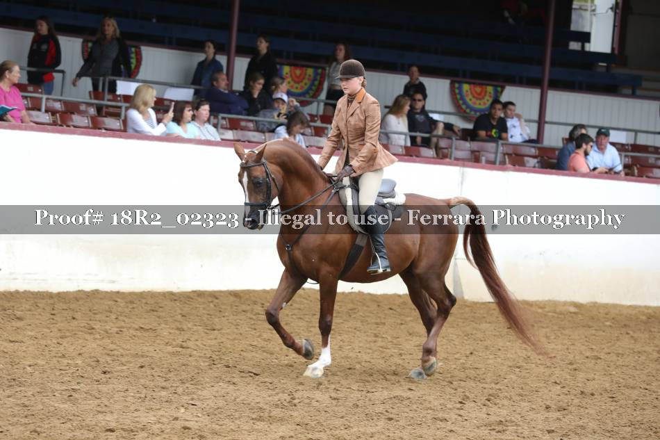 Proof 18R2_02323