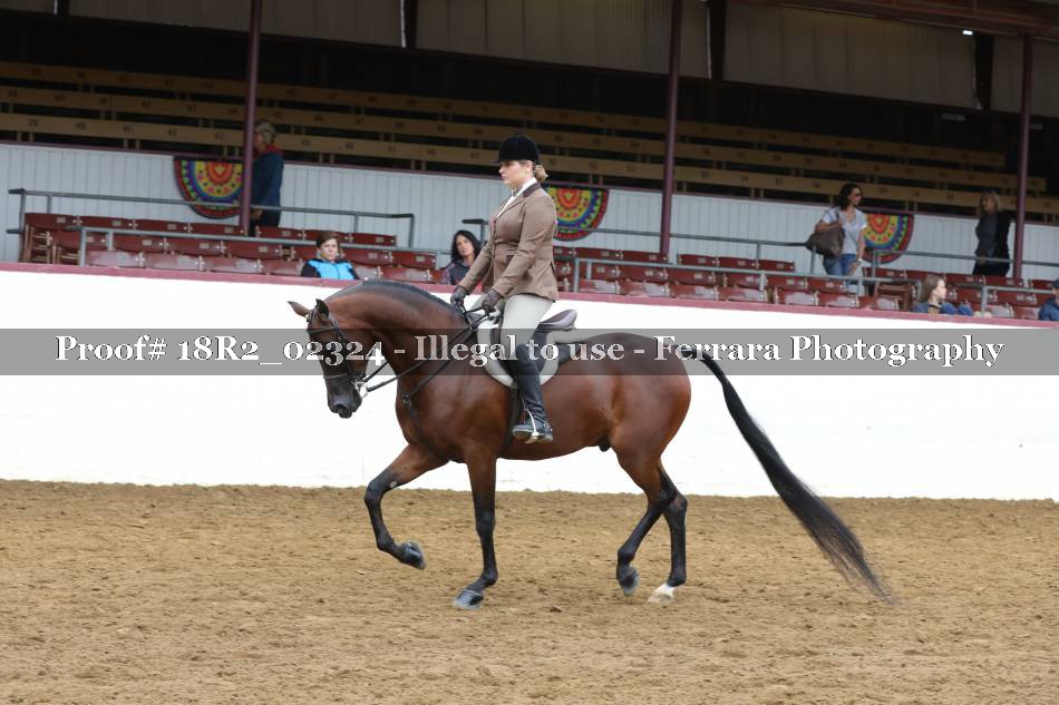 Proof 18R2_02324