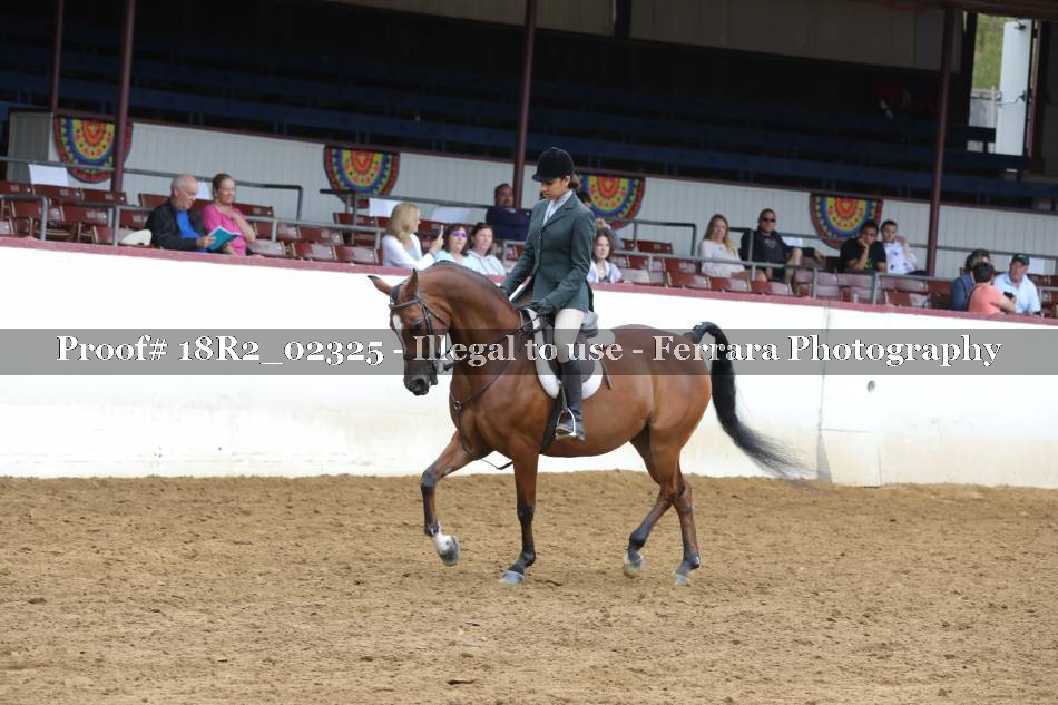 Proof 18R2_02325