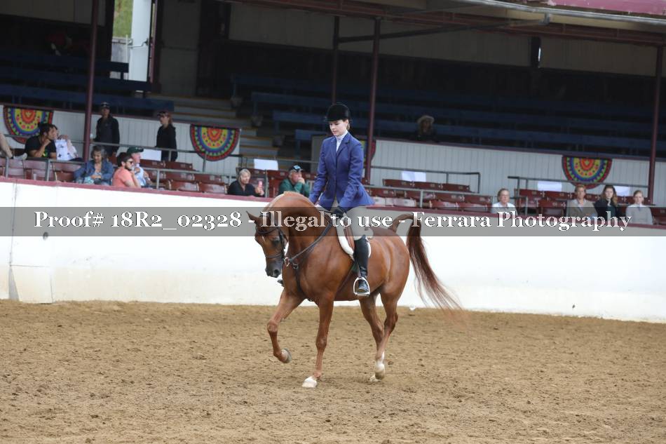 Proof 18R2_02328