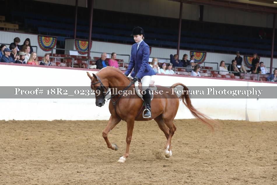 Proof 18R2_02329