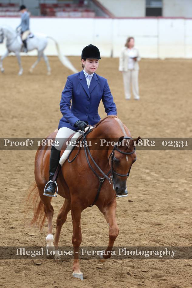 Proof 18R2_02331
