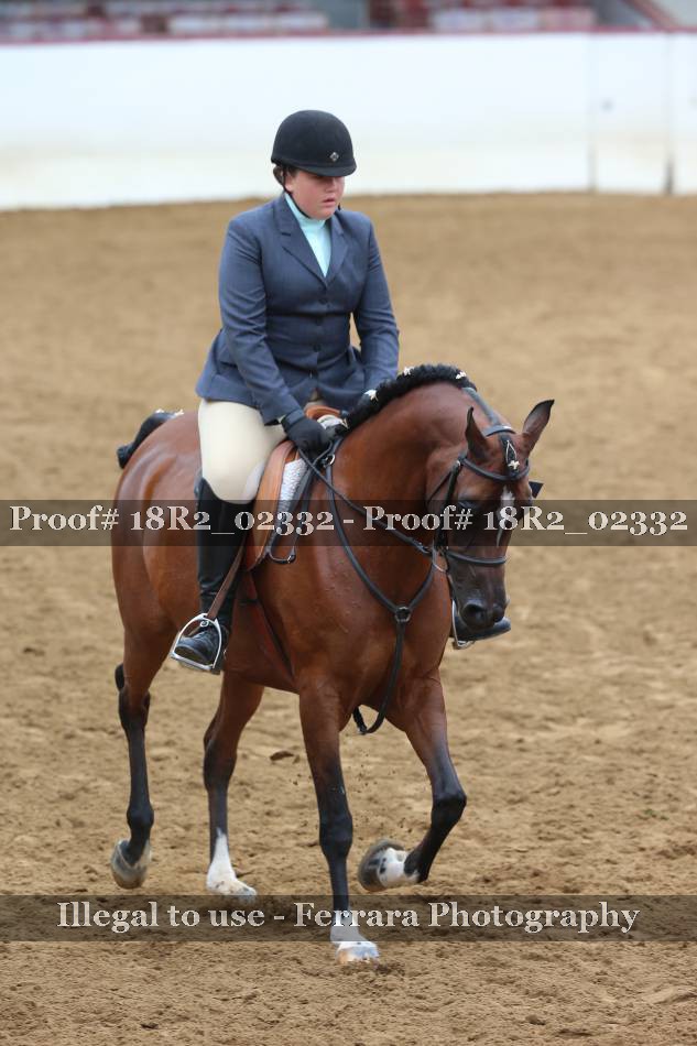 Proof 18R2_02332