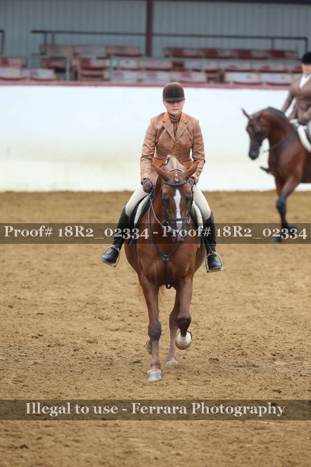 Proof 18R2_02334