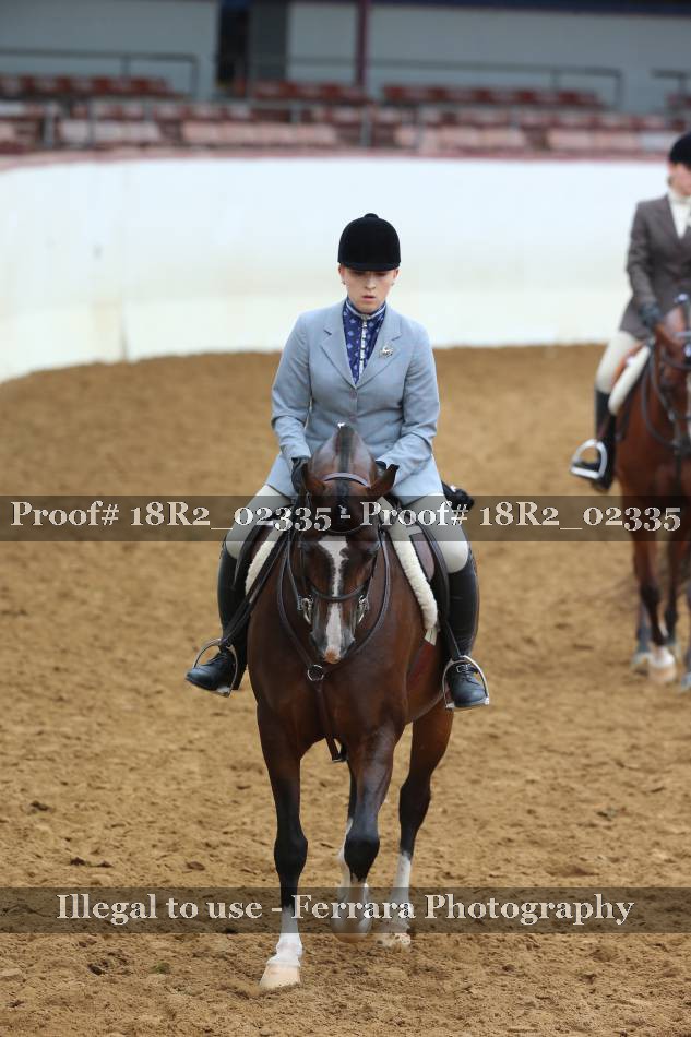 Proof 18R2_02335