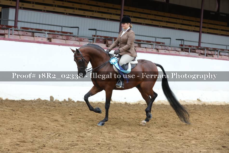 Proof 18R2_02338
