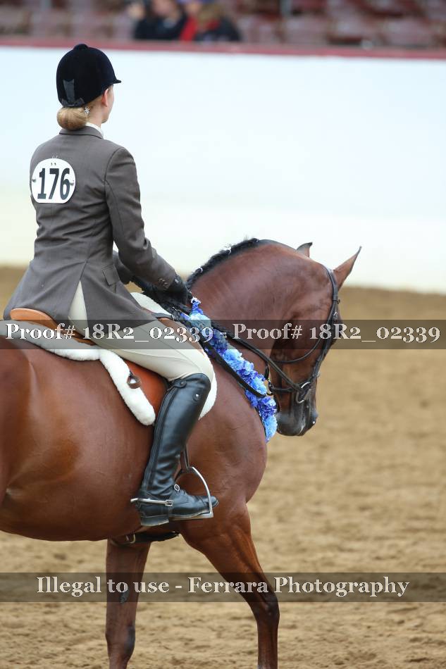 Proof 18R2_02339