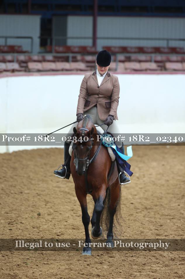 Proof 18R2_02340