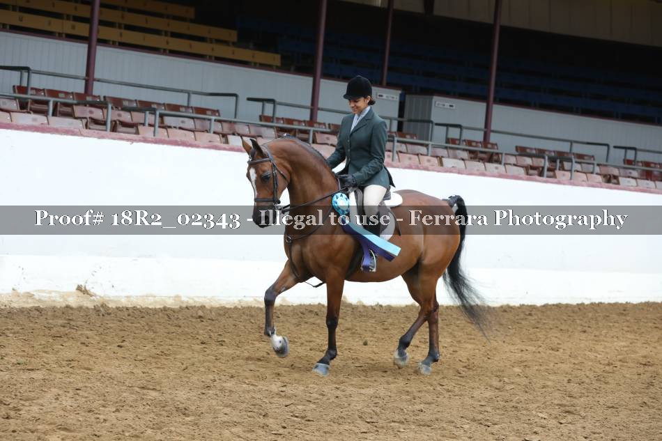 Proof 18R2_02343