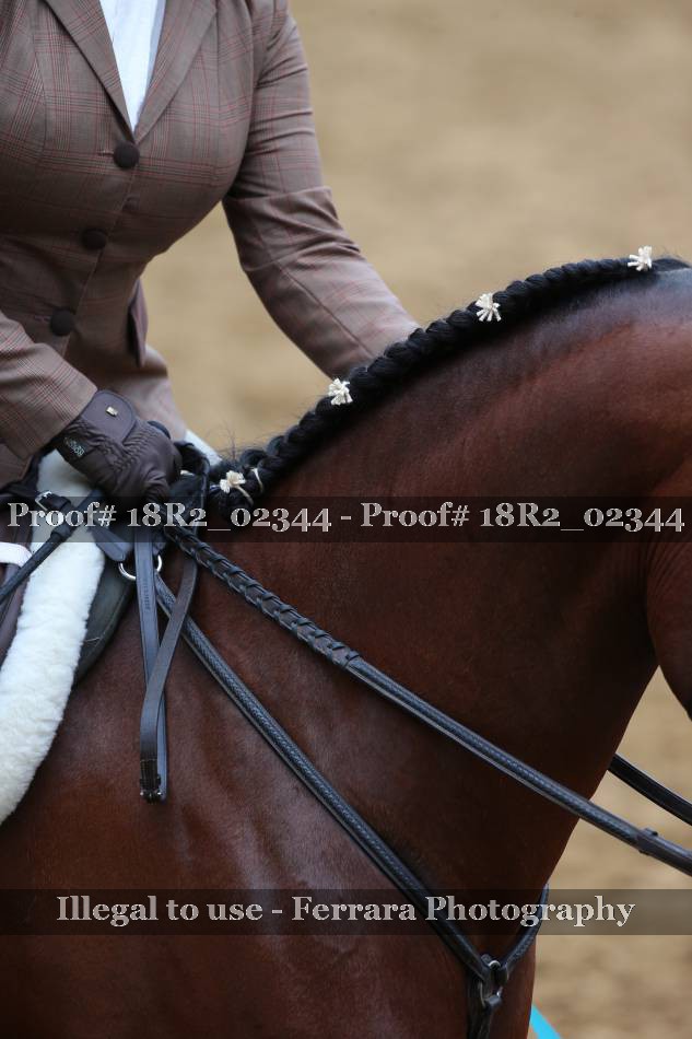 Proof 18R2_02344