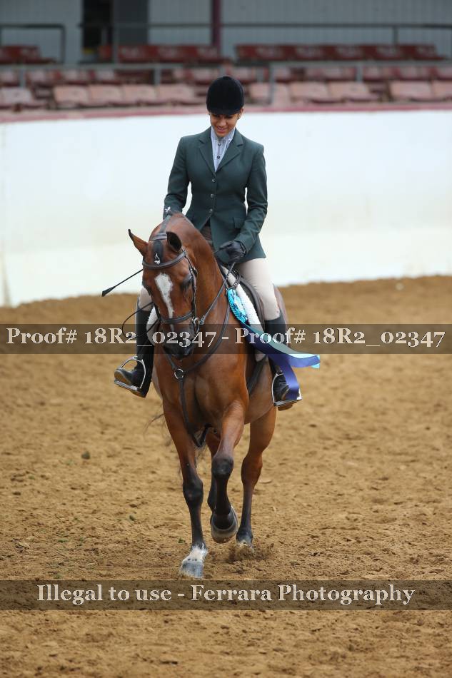 Proof 18R2_02347
