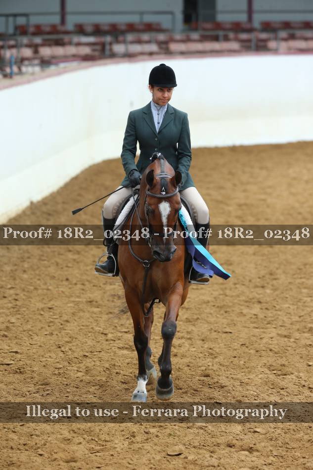 Proof 18R2_02348