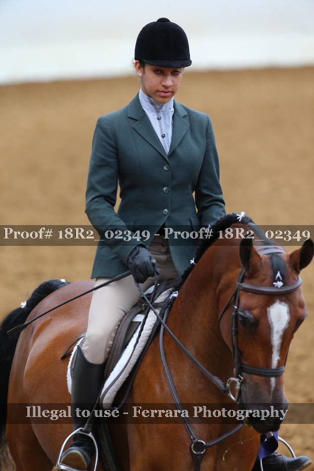 Proof 18R2_02349
