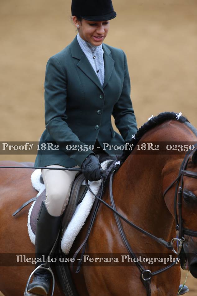 Proof 18R2_02350
