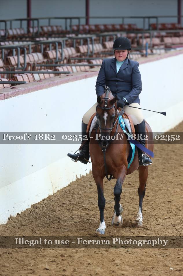 Proof 18R2_02352