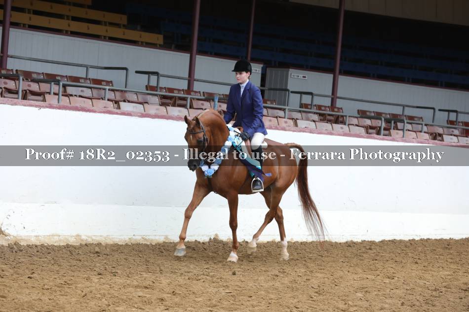 Proof 18R2_02353