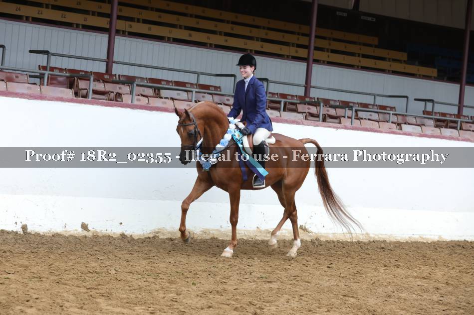 Proof 18R2_02355