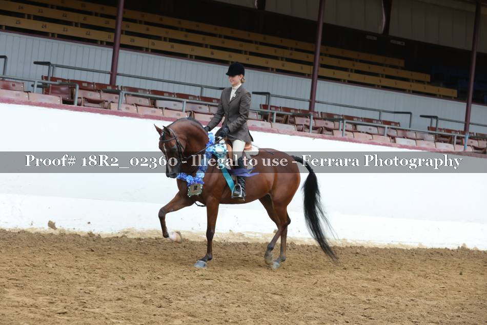 Proof 18R2_02360