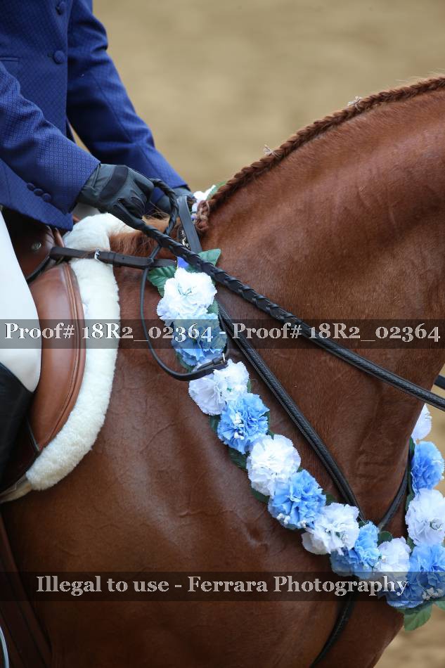 Proof 18R2_02364