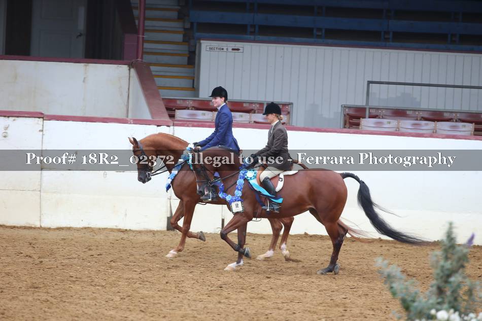 Proof 18R2_02372