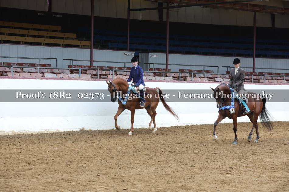 Proof 18R2_02373