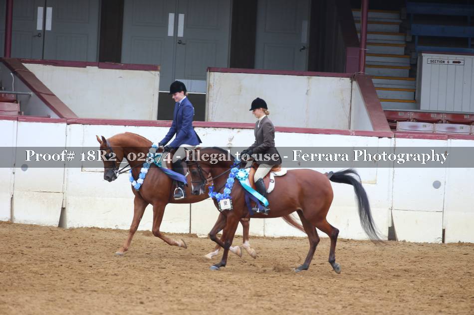 Proof 18R2_02374
