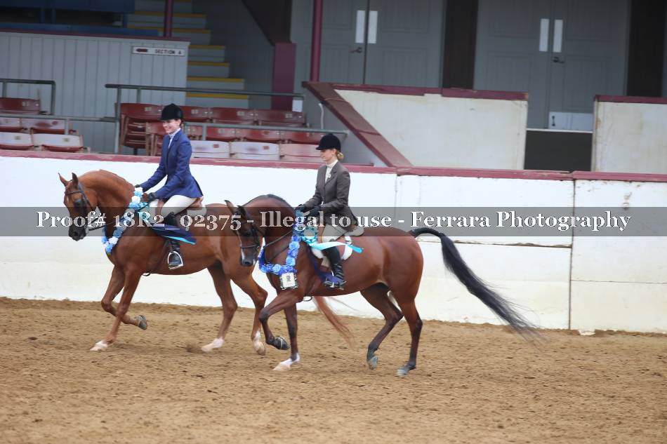 Proof 18R2_02375