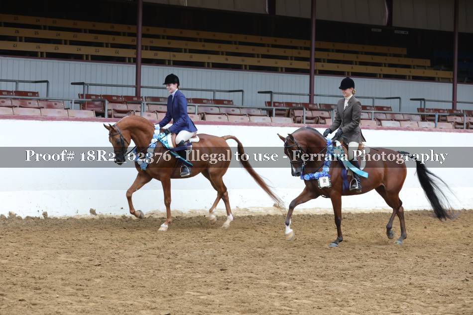 Proof 18R2_02376