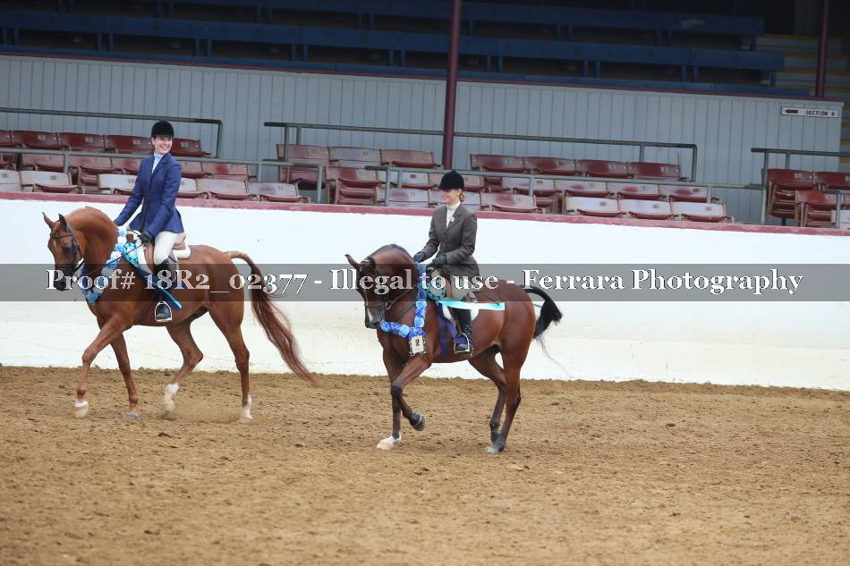 Proof 18R2_02377