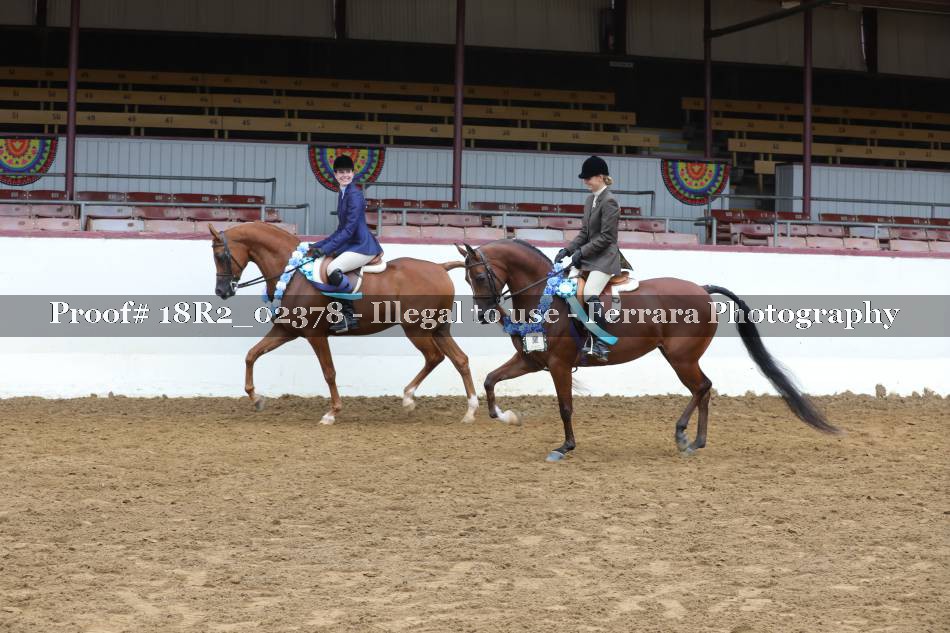 Proof 18R2_02378