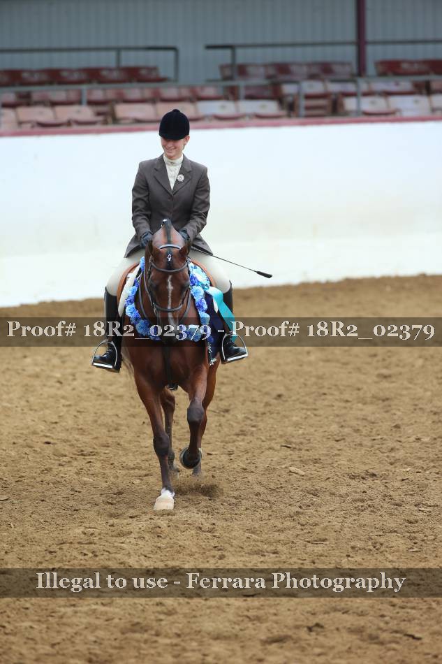 Proof 18R2_02379