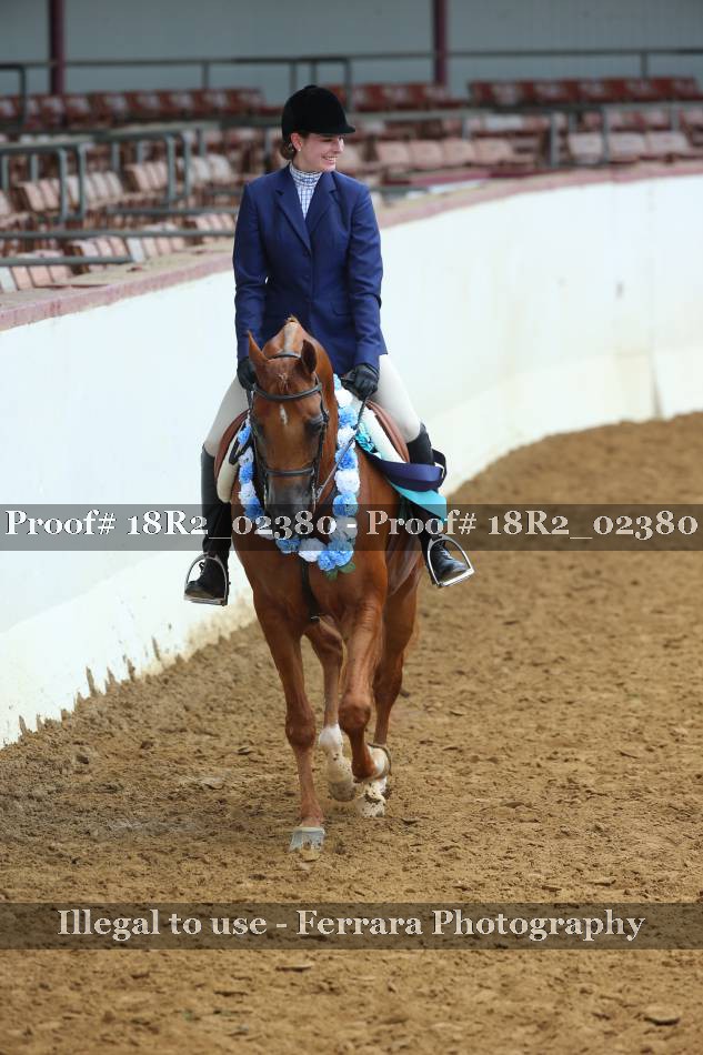 Proof 18R2_02380