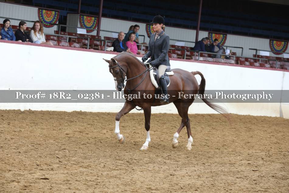 Proof 18R2_02381