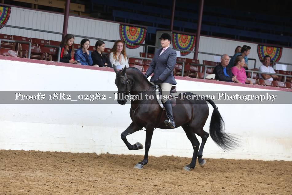 Proof 18R2_02382