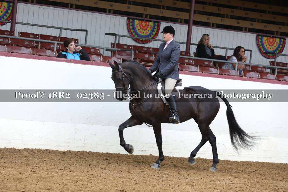 Proof 18R2_02383