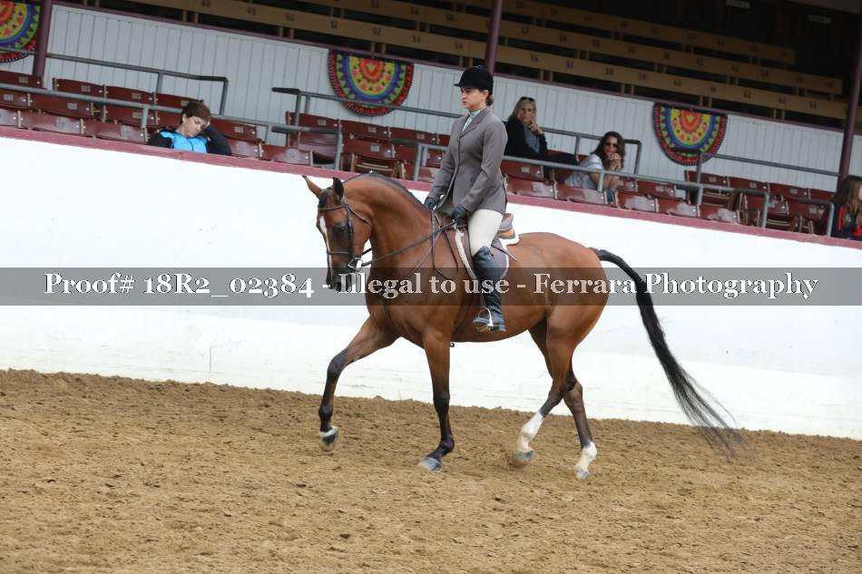 Proof 18R2_02384