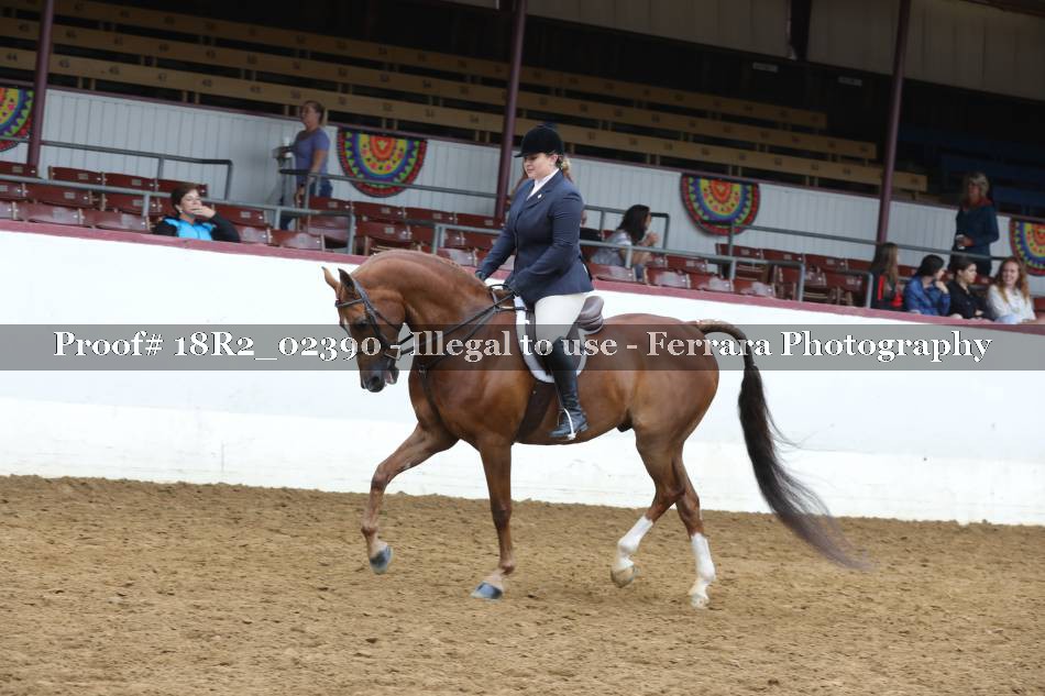 Proof 18R2_02390