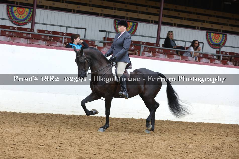 Proof 18R2_02391