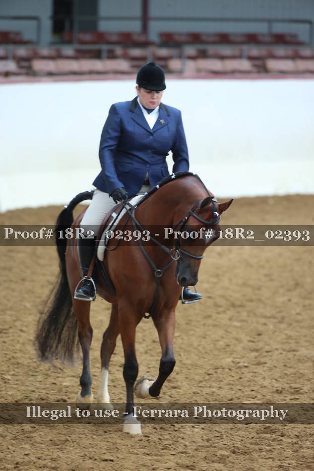 Proof 18R2_02393