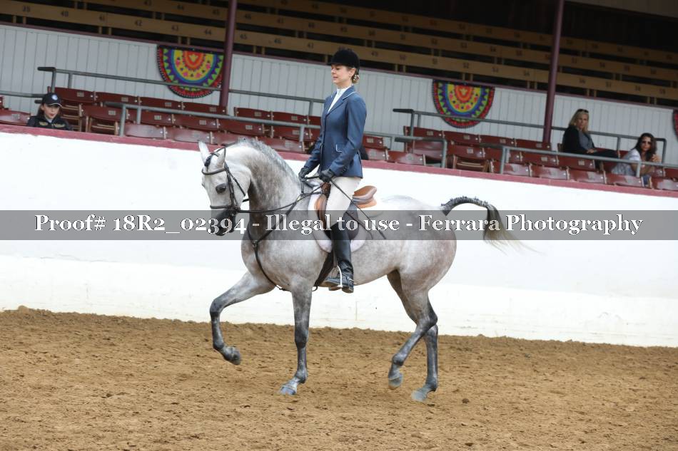 Proof 18R2_02394