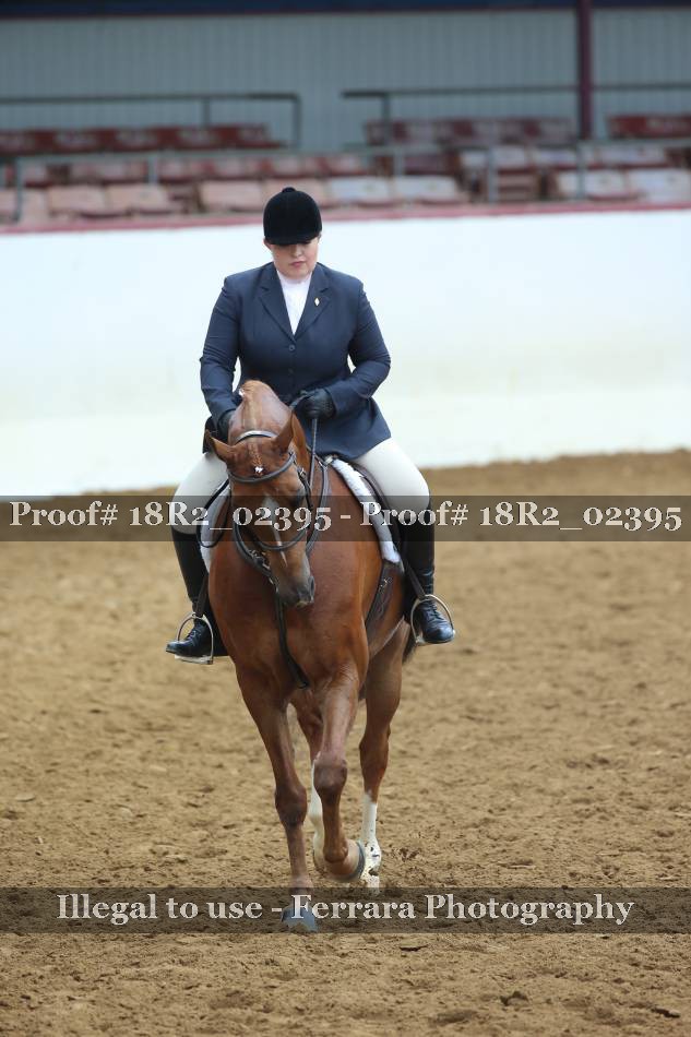 Proof 18R2_02395