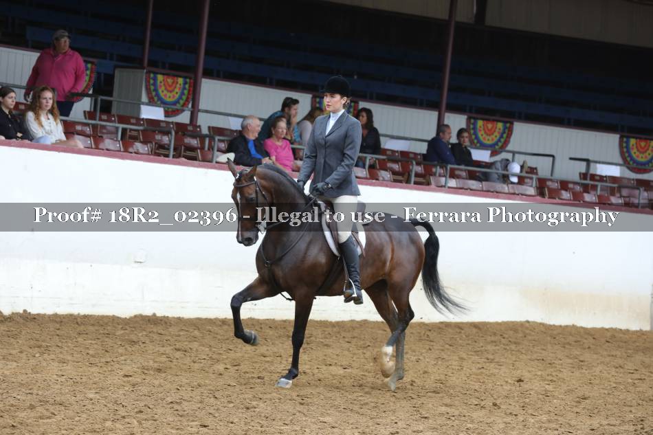 Proof 18R2_02396