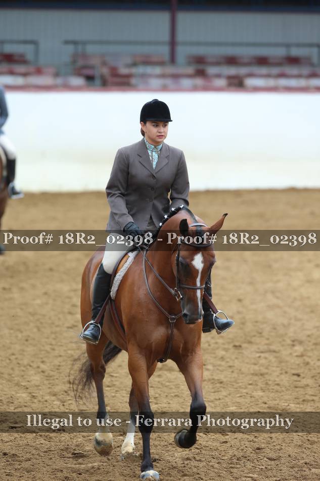 Proof 18R2_02398