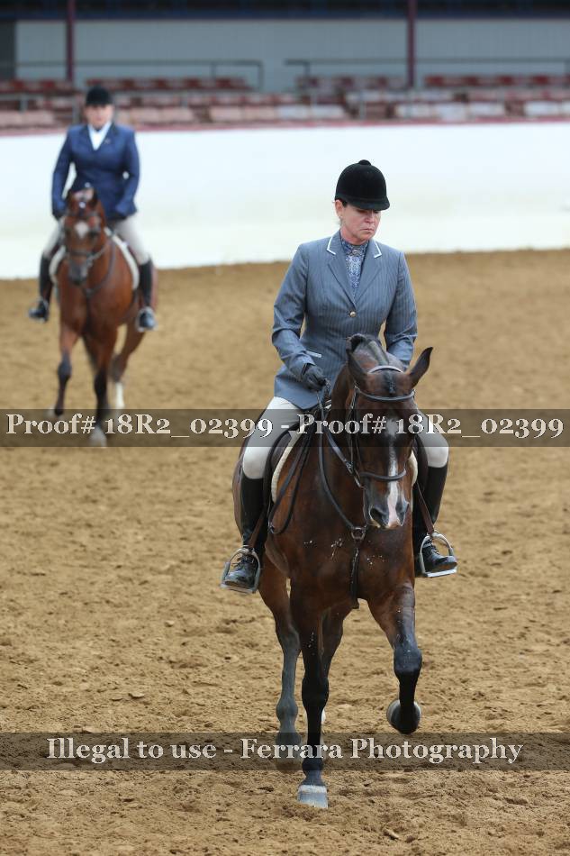Proof 18R2_02399